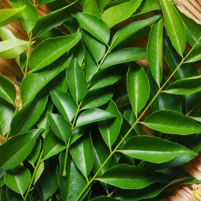 Kari-Patta-(Curry Leaves)