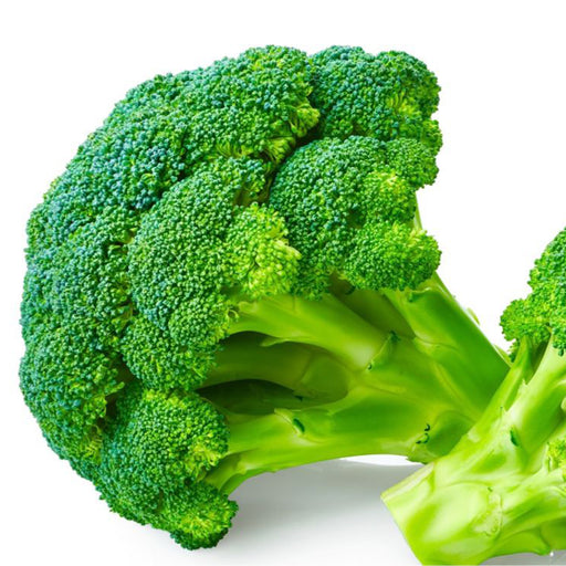 Broccoli-(ब्रोकोली)-Hybrid-Seeds