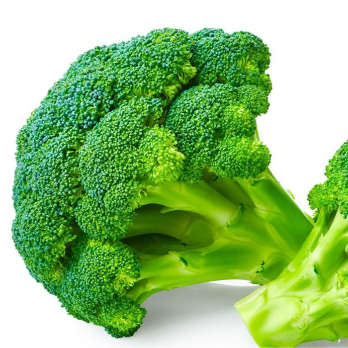 Broccoli-(ब्रोकोली)-Hybrid-Seeds