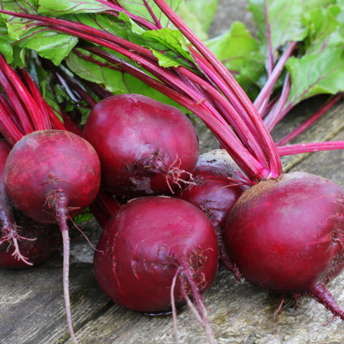 Beetroot-(चुकंदर)