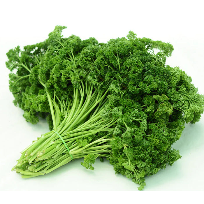 Parsley-(Cress Curled)-Seeds