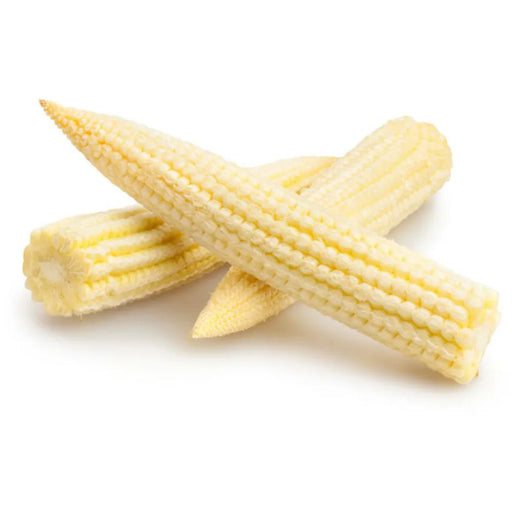 Baby-Corn-Hybrid-Seeds-for-Your-Garden