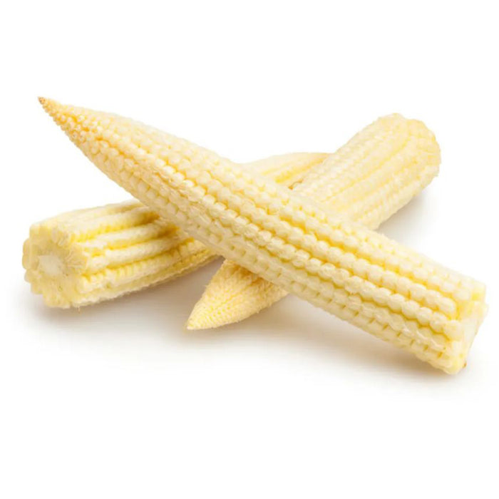 Baby-Corn-Hybrid-Seeds-for-Your-Garden
