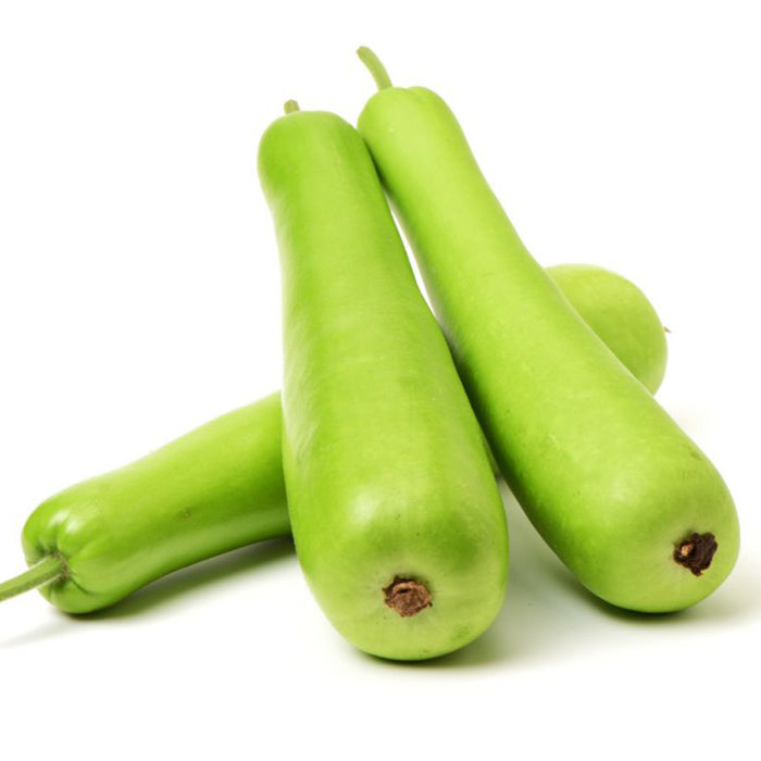 Bottle-Gourd-F-1-Hybrid-Seeds