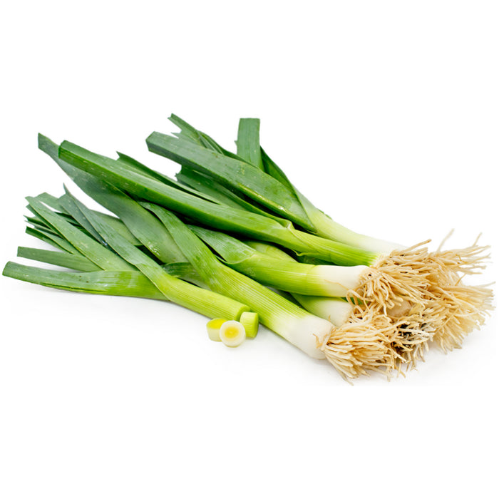 Leek-(American Flag)-Seeds