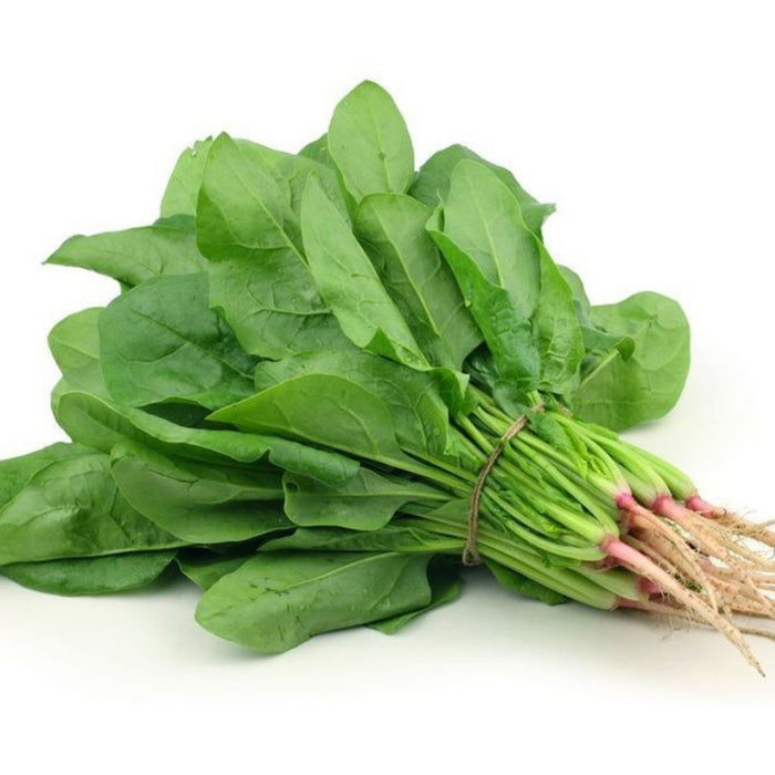 F1-Hybrid-Spinach-(पालक)-Seeds