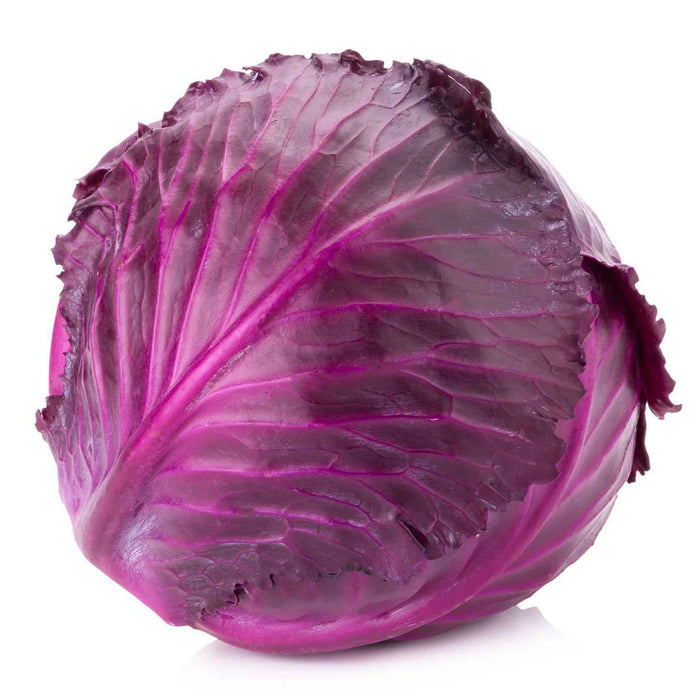 Red-Cabbage-(लाल गोभी)-Seeds