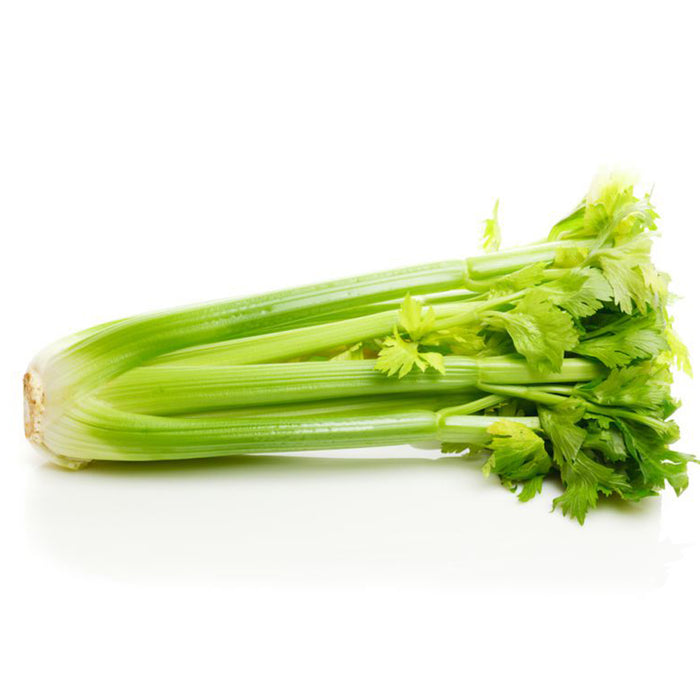 Celery-Seeds-for-Your-Garden