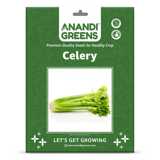 Celery-Seeds-for-Your-Garden