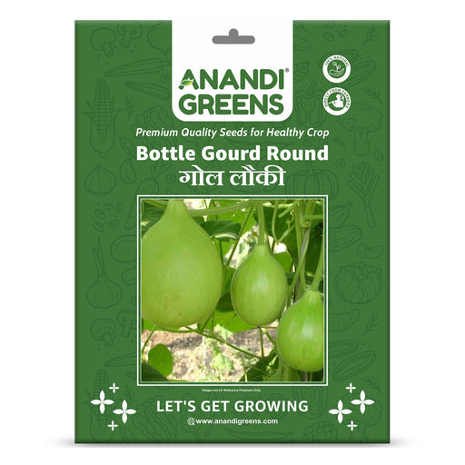 Ash-Gourd-(गोल लौकी)-F-1-Hybrid -Seeds
