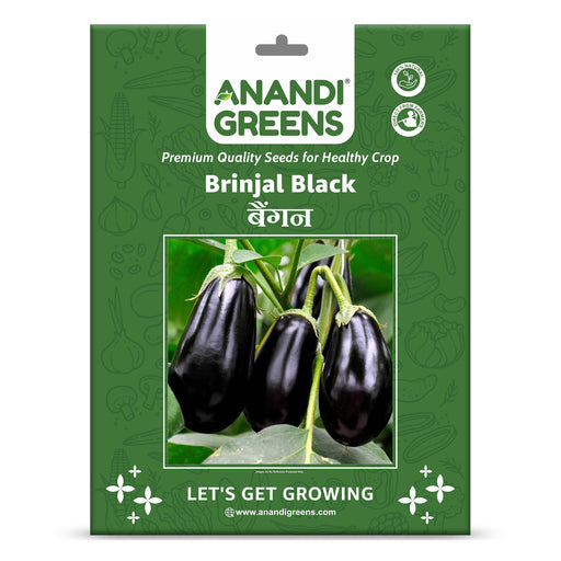 Brinjal-Hybrid-(Black Small)-Seeds!