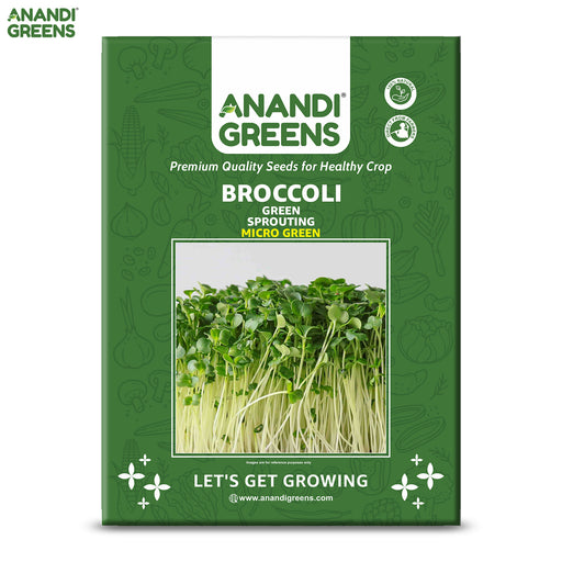 Broccoli-Green-Sprouting-(ब्रोकोली माइक्रोग्रीन)-Microgreens-Seeds