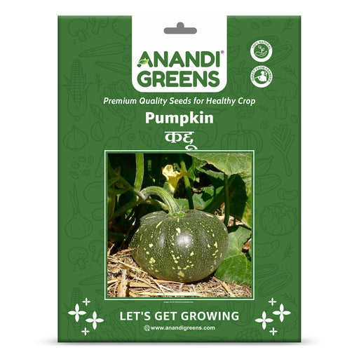 F-1-Hybrid-Pumpkin-Seeds!