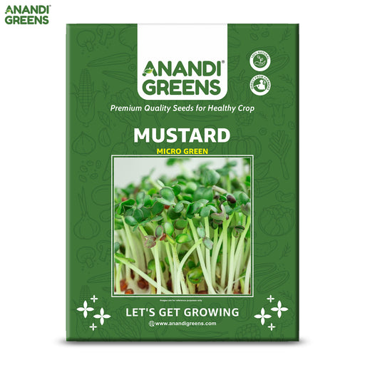 Mustard-(सरसों माइक्रोग्रीन)-Microgreens-Seeds