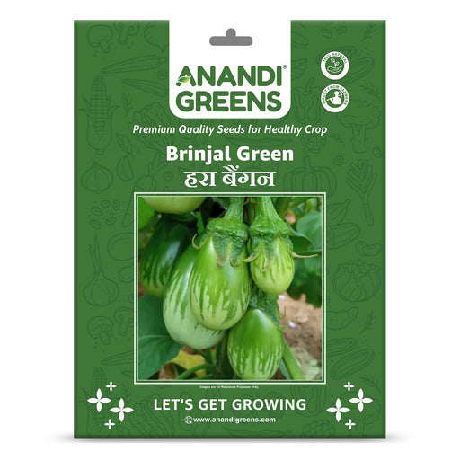 Brinjal-Hybrid-Green-Long-Seeds
