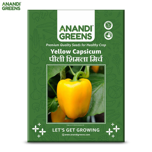Capsicum-Yellow-(पीली शिमला मिर्च)-F1-Hybrid-Seeds