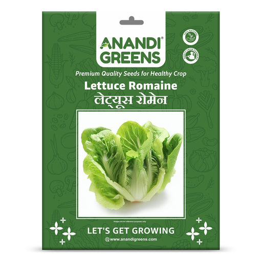 Lettuce-Romaine-(सलाद पत्ते)-Seeds