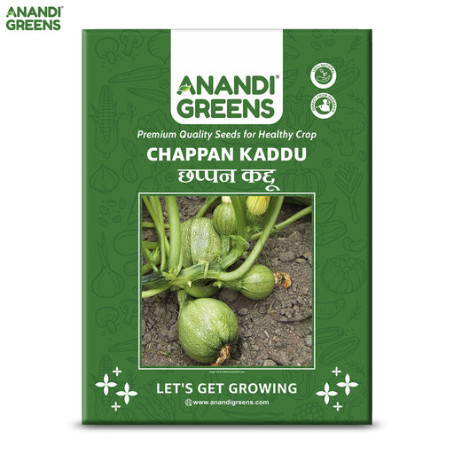 Premium-Chappan-Kaddu-(छप्पन कद्दू)-Seeds