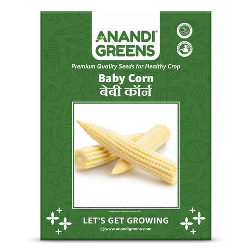 Baby-Corn-Hybrid-Seeds-for-Your-Garden