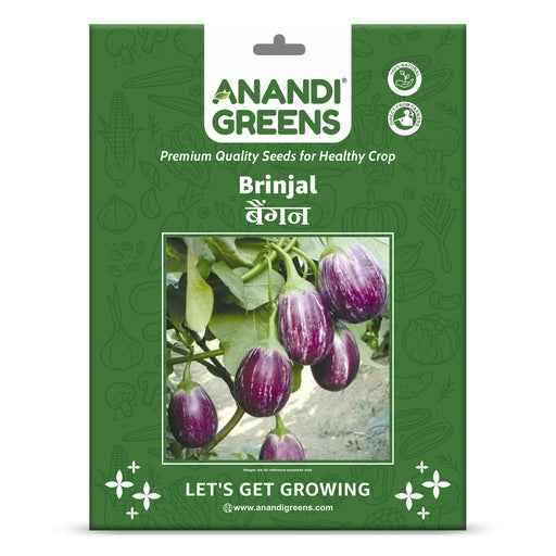 Brinjal-(बेंगन)-Hybrid-(Black Small- Seeds