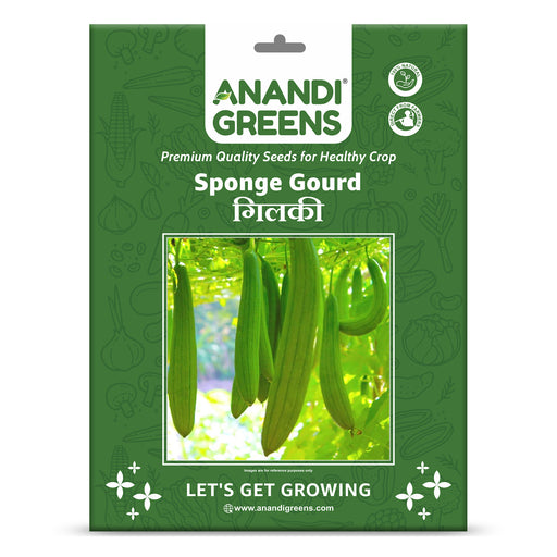 Sponge-Gourd-(गिलकी)-F-1-Hybri- Seeds