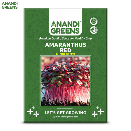 Amaranthus-Red-Microgreens