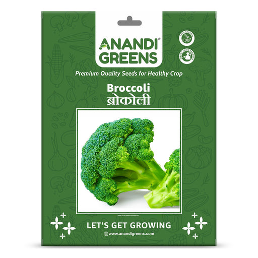 Broccoli-(ब्रोकोली)-Hybrid-Seeds