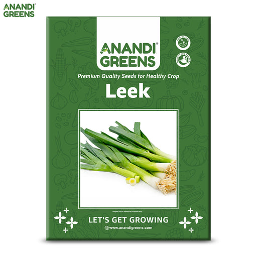 Leek-(American Flag)-Seeds