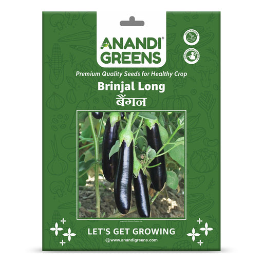 F1-Hybrid-Brinjal-(Long Black)-Seed