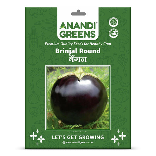 F1-Hybrid-Brinjal-(Big Round)-Seeds!