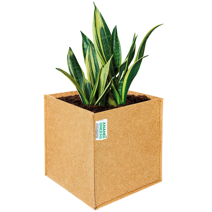 Geo Fabric Rectangular Plant Grow Bag 12x12x12
