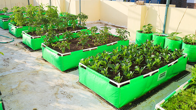 Grow-bags