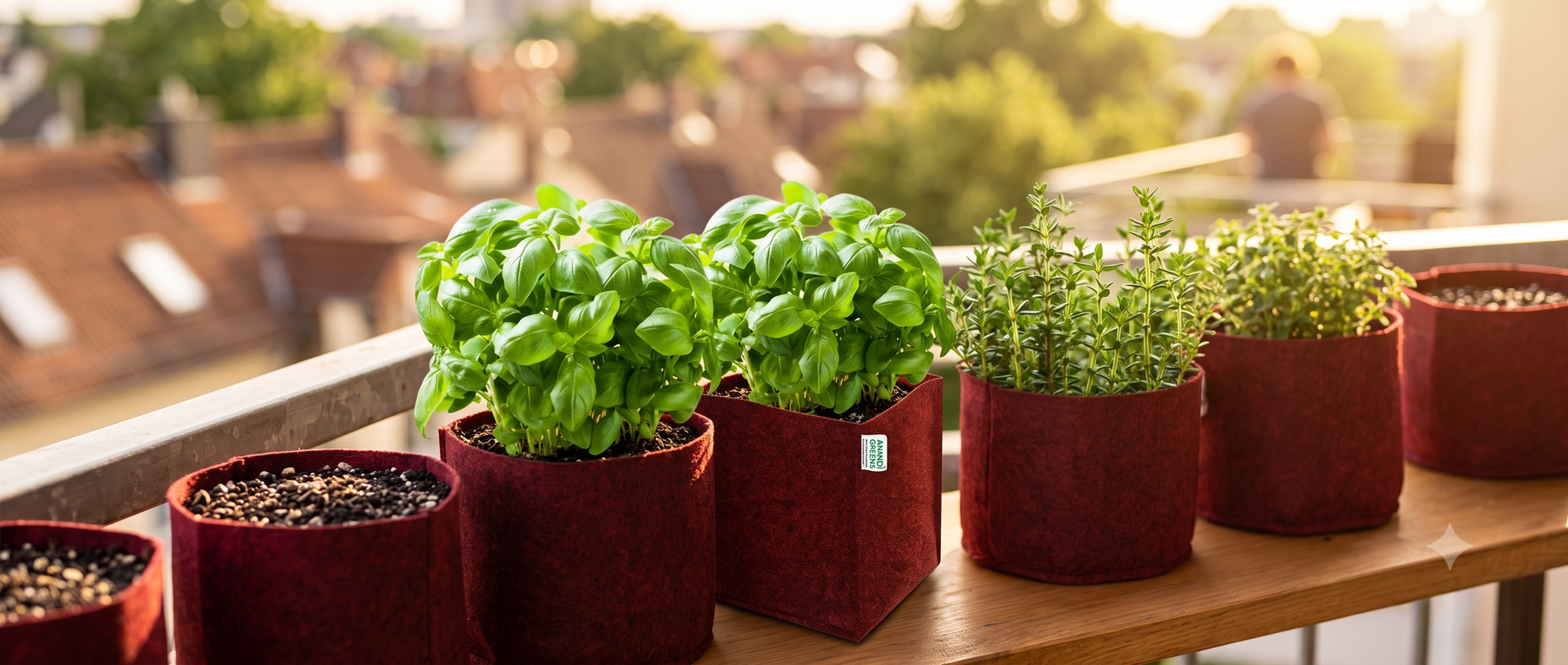 Small fabric grow bags growing basil and thyme herbs on a sunny balcony ledge