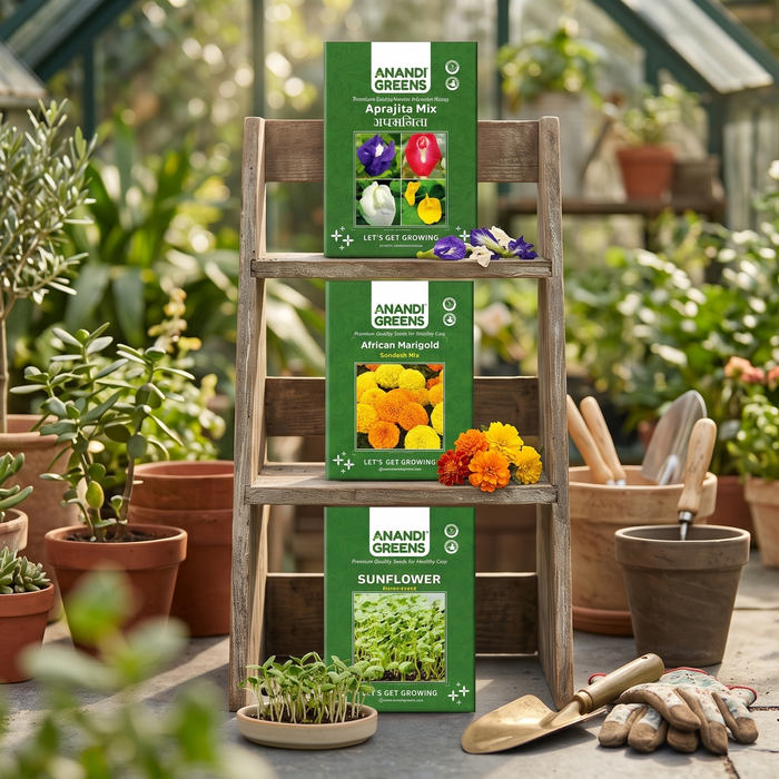 Colourful flower seed packets arranged for buying flower seeds online guide