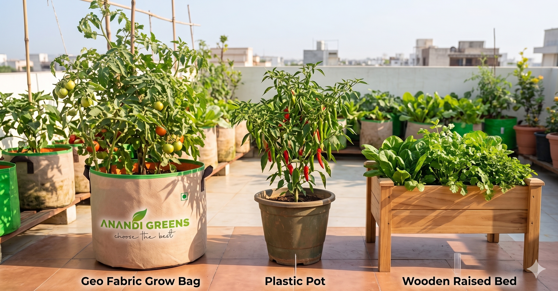 Grow bags vs plastic pots vs raised beds comparison for Indian terrace gardening — which container is best from Anandi Greens