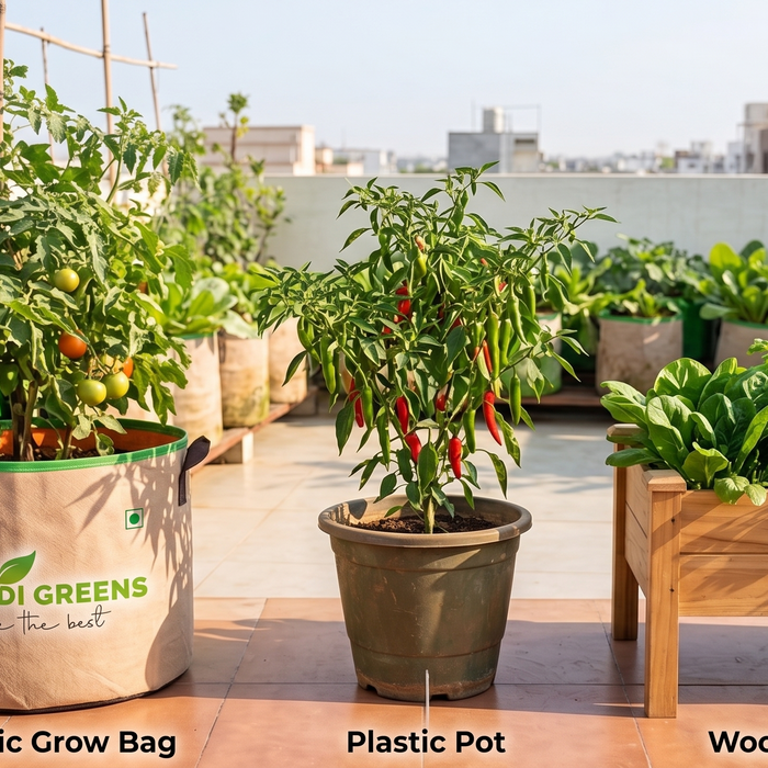 Grow bags vs plastic pots vs raised beds comparison for Indian terrace gardening — which container is best from Anandi Greens