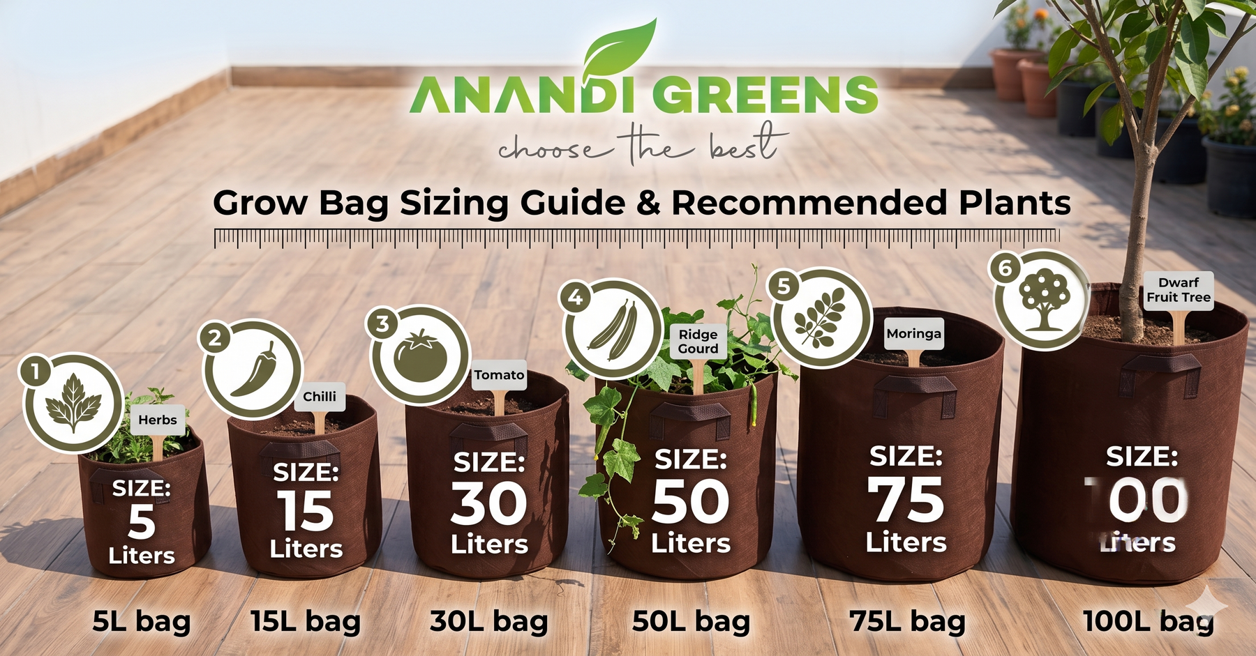 Grow bag size guide for Indian vegetables 2025 — which bag size for tomatoes, chillies, gourds and herbs from Anandi Greens