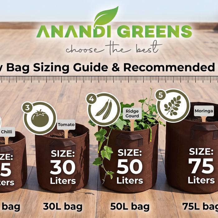 Grow bag size guide for Indian vegetables 2025 — which bag size for tomatoes, chillies, gourds and herbs from Anandi Greens