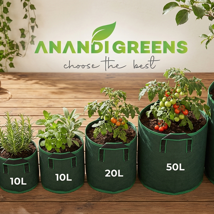 Different sizes of grow bags from Anandi Greens arranged with plants on a terrace — from small herb bags to large vegetable grow bags
