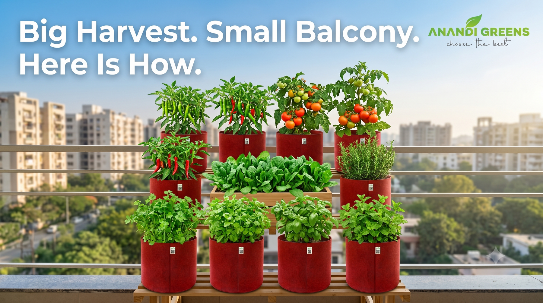 Grow bags balcony garden setup India — compact terrace gardening guide with geo fabric bags — Anandi Greens