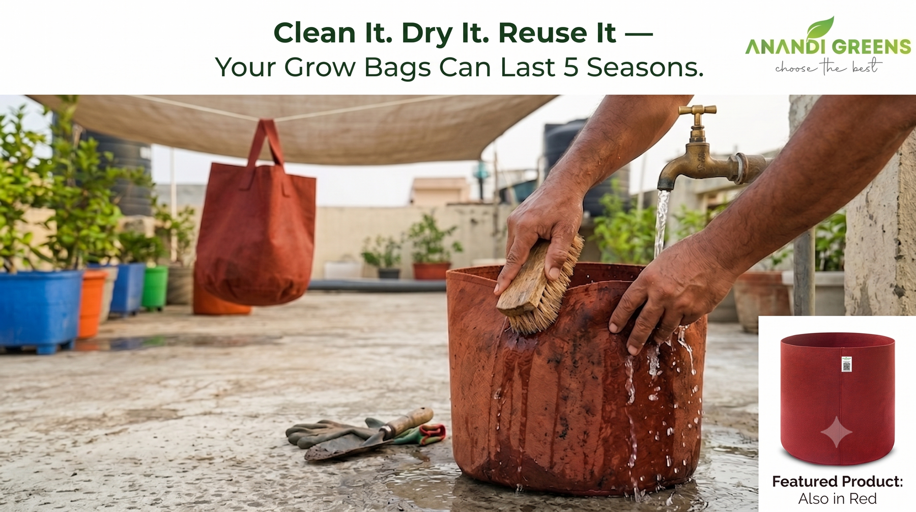 How to clean and reuse geo fabric grow bags — step by step guide for Indian terrace garden — Anandi Greens