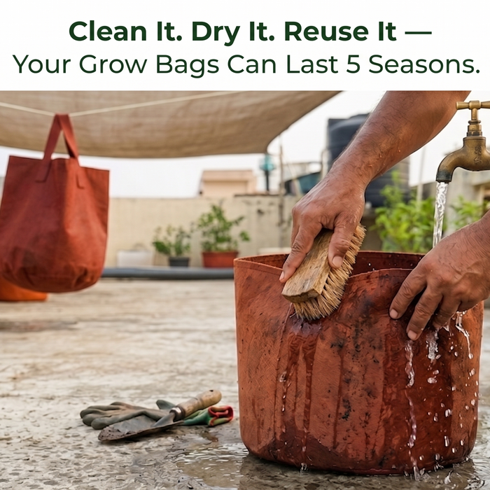 How to clean and reuse geo fabric grow bags — step by step guide for Indian terrace garden — Anandi Greens