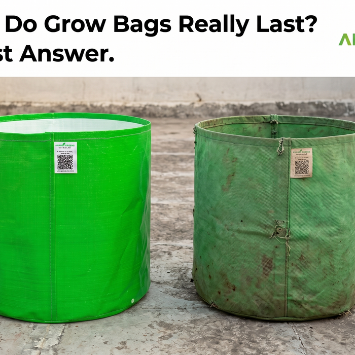 Lifespan comparison of grow bags for plants — geo fabric HDPE LDPE durability guide India — Anandi Greens