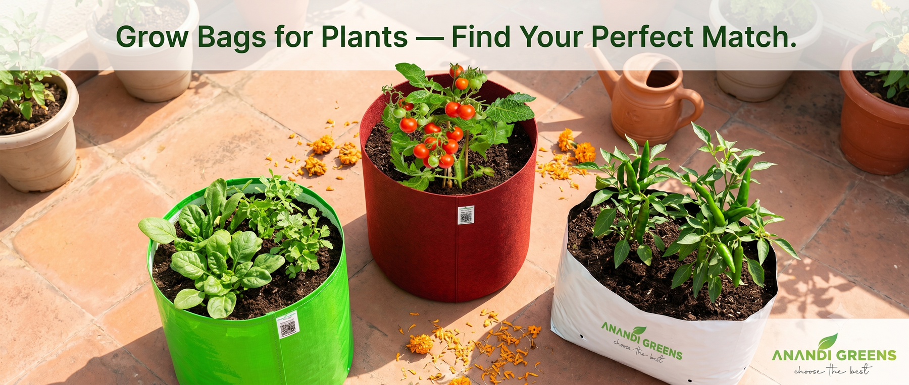 Three types of grow bags for plants — geo fabric, HDPE and LDPE — on an Indian terrace garden by Anandi Greens
