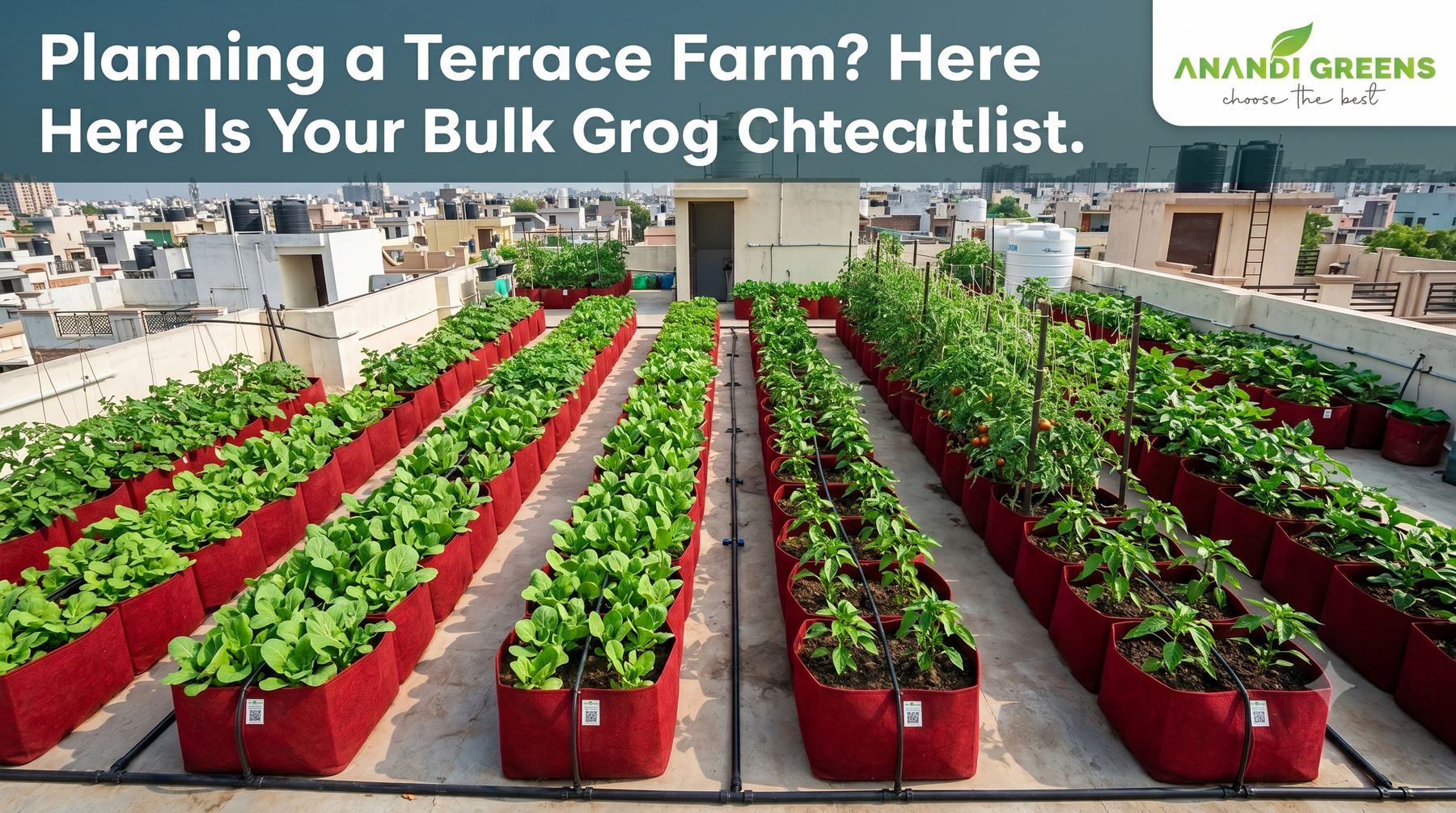 Bulk grow bags for terrace farm — wholesale buyer checklist for Indian rooftop farming — Anandi Greens