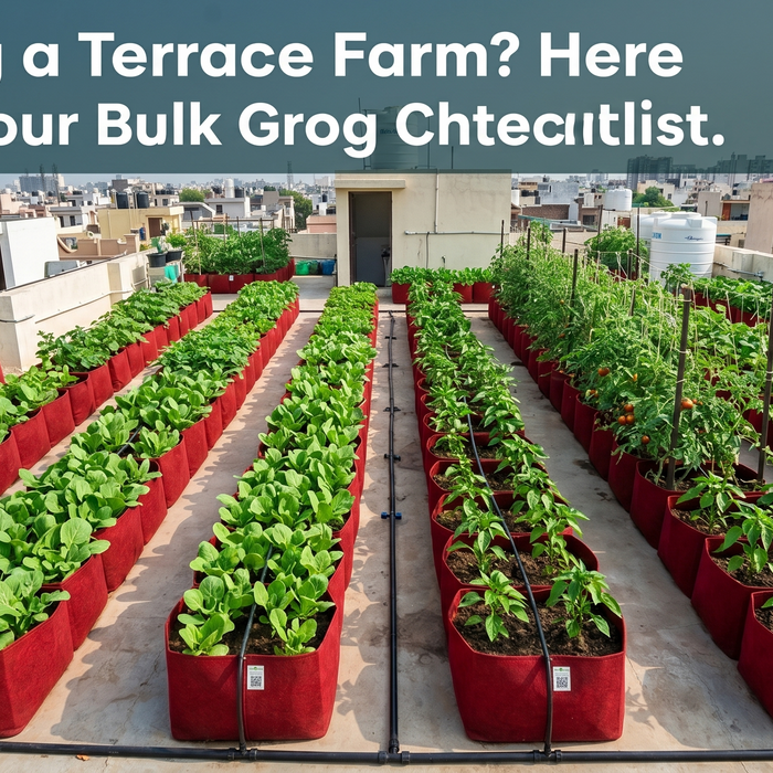 Bulk grow bags for terrace farm — wholesale buyer checklist for Indian rooftop farming — Anandi Greens