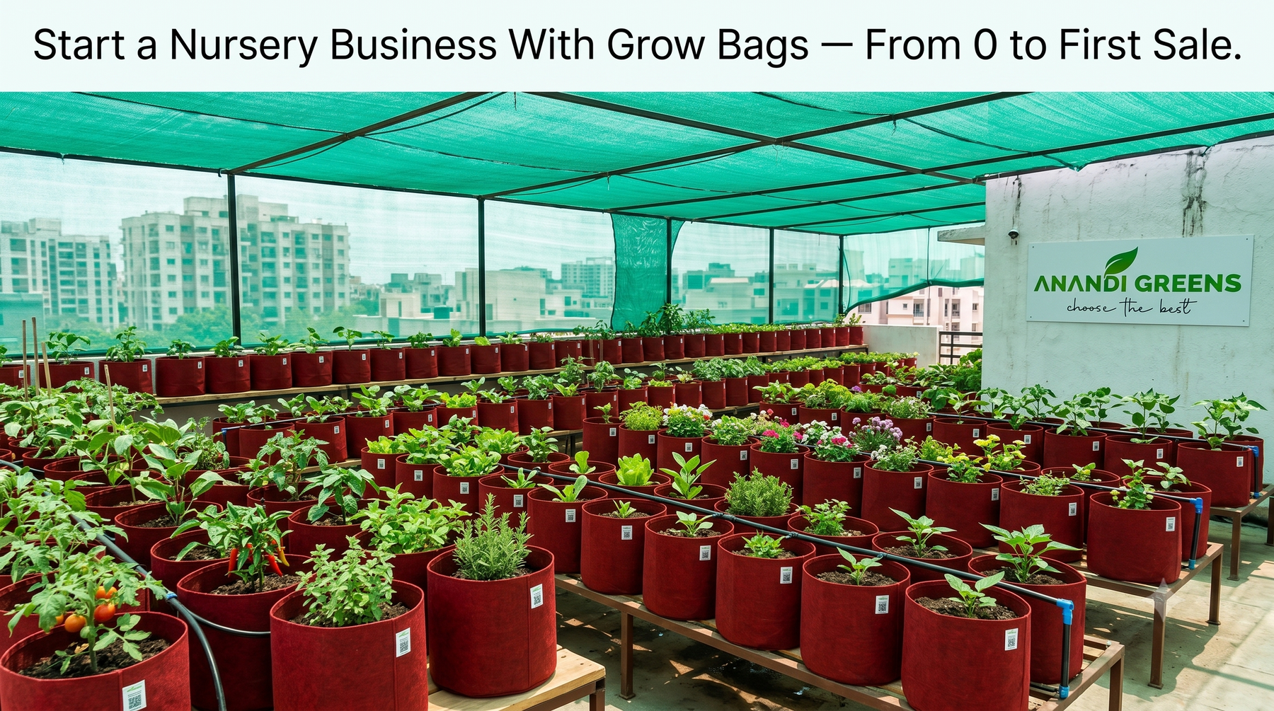 How to start a plant nursery business using grow bags in India — setup guide — Anandi Greens grow bag supplier