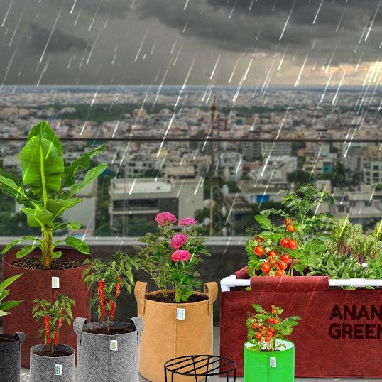 Choosing the Right Grow Bags for Your Needs