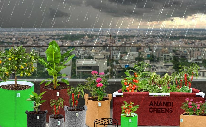 Choosing the Right Grow Bags for Your Needs