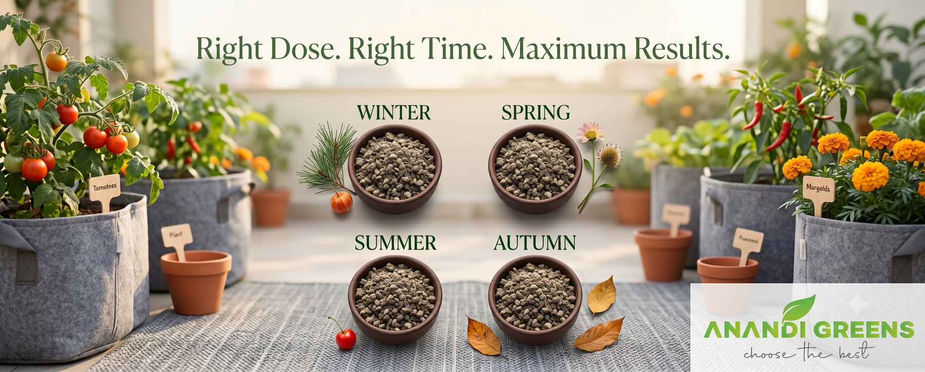 Season-wise neem cake fertilizer dosage chart for Indian terrace grow bag gardens — Anandi Greens
